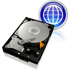 WD Caviar Blue WD1600AAJS 160 GB Hard Drive - 3.5 Internal - SATA SATA/300 - Owc